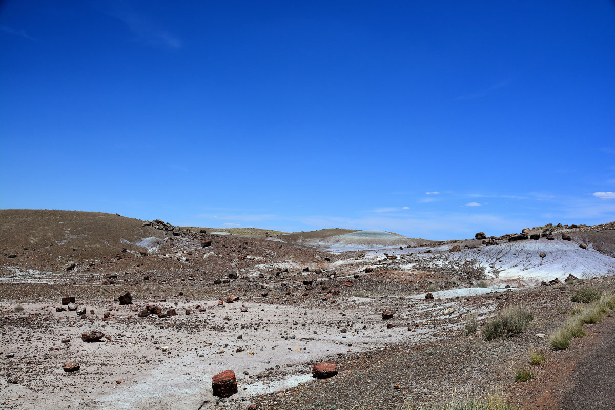 2016-06-03, 060, Petrified Forest, Crystal Forest