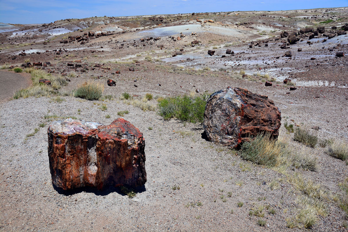 2016-06-03, 061, Petrified Forest, Crystal Forest