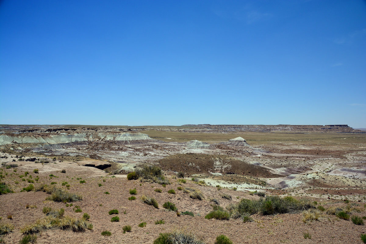 2016-06-03, 063, Petrified Forest, Crystal Forest