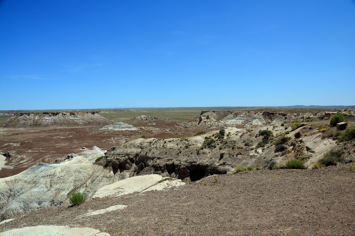 2016-06-03, 069, Petrified Forest