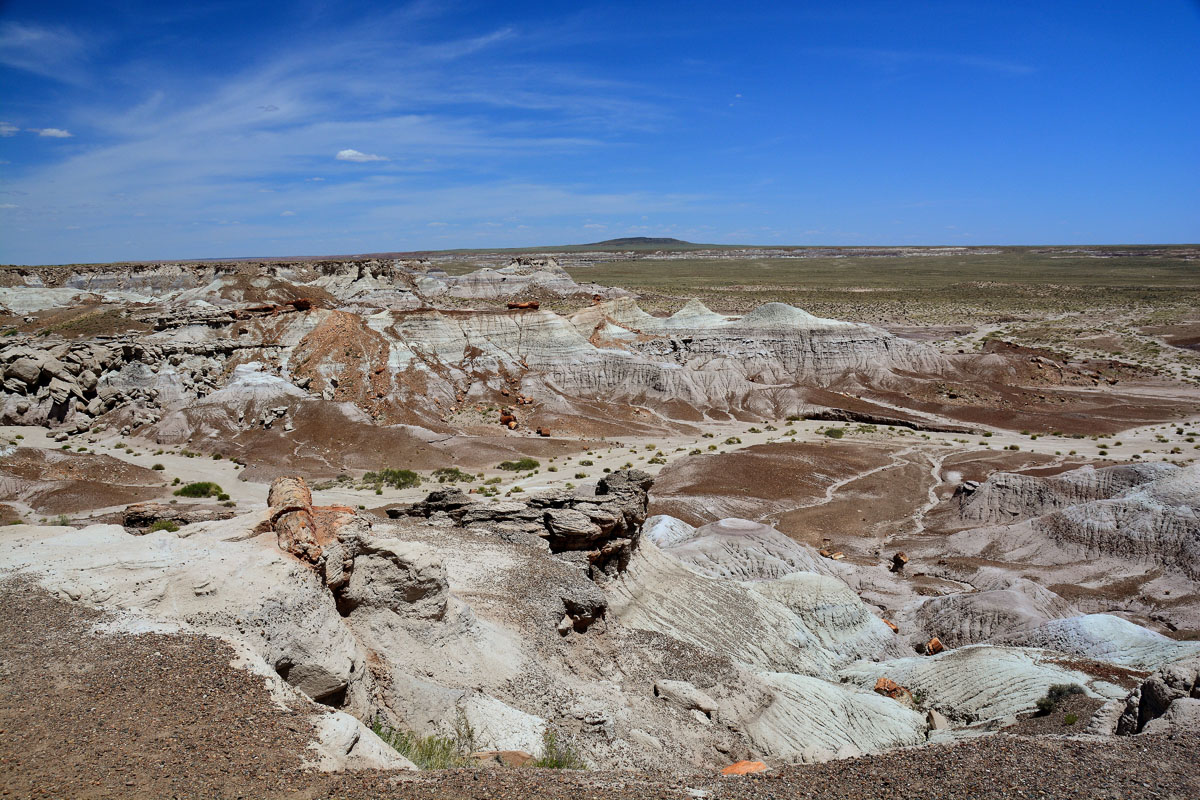 2016-06-03, 070, Petrified Forest