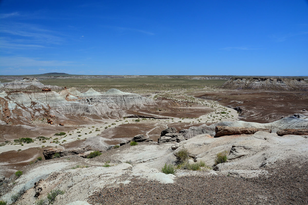 2016-06-03, 072, Petrified Forest