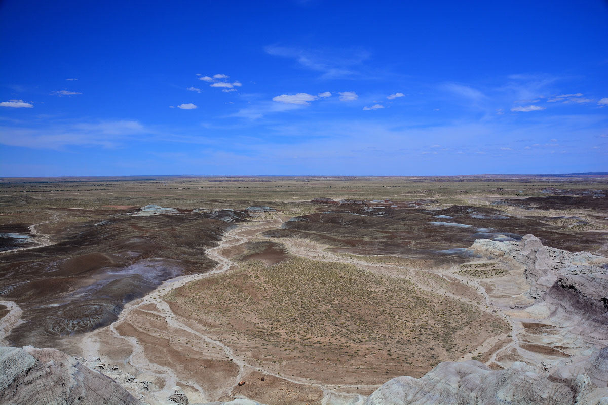 2016-06-03, 074, Petrified Forest
