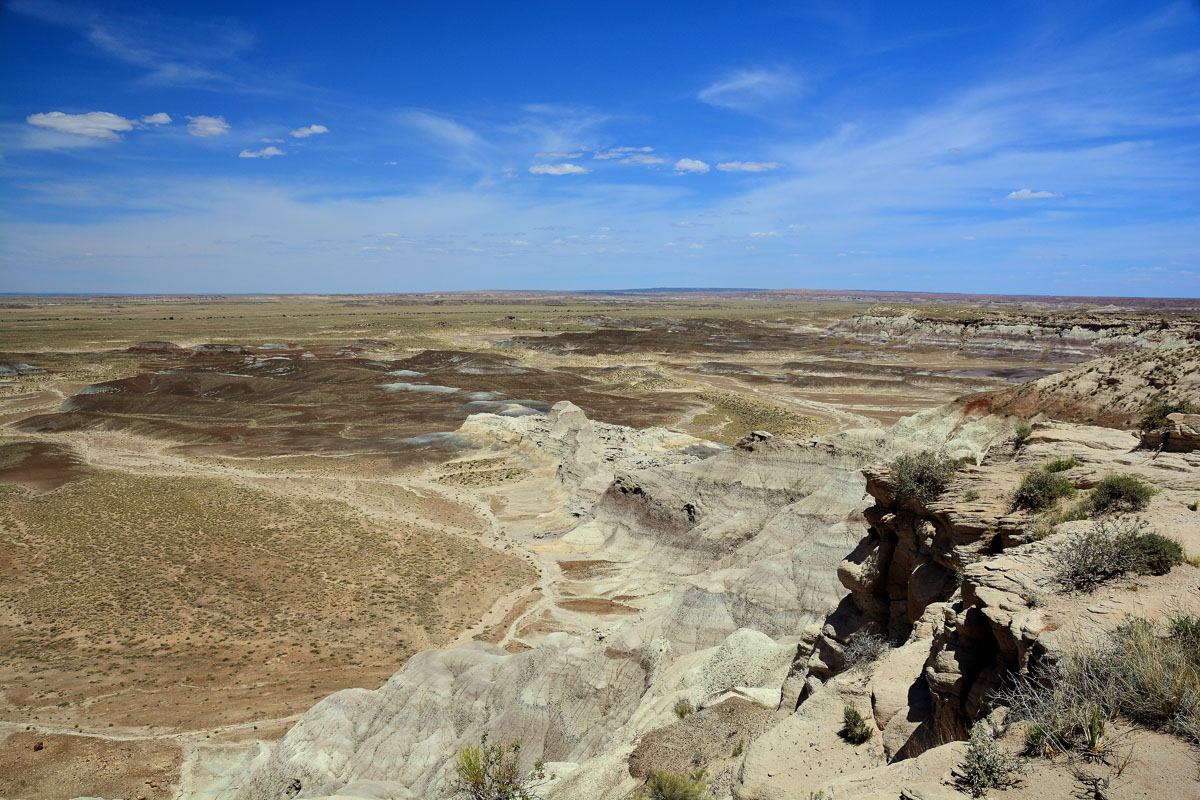 2016-06-03, 075, Petrified Forest
