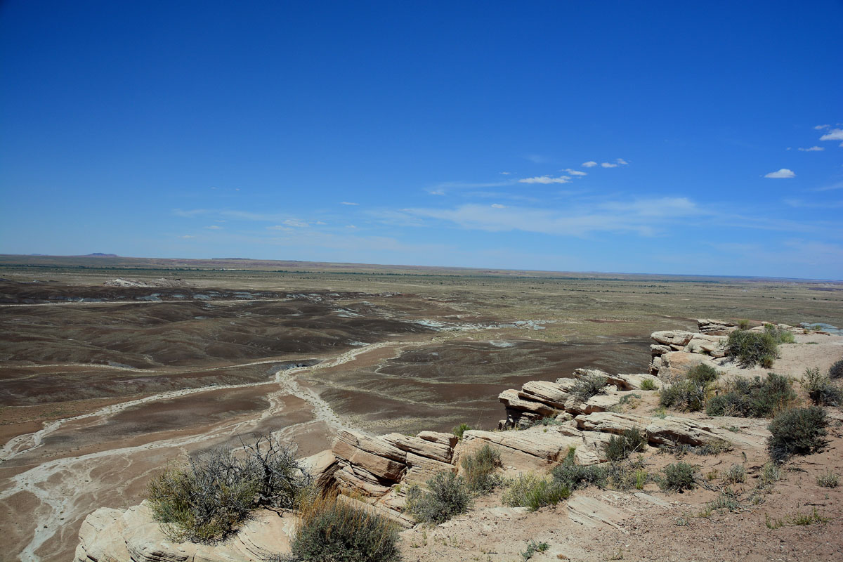 2016-06-03, 077, Petrified Forest