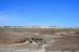 2016-06-03, 047, Petrified Forest, Crystal Forest