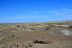 2016-06-03, 050, Petrified Forest, Crystal Forest