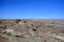 2016-06-03, 056, Petrified Forest, Crystal Forest