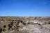 2016-06-03, 059, Petrified Forest, Crystal Forest