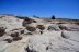 2016-06-03, 067, Petrified Forest, Agate Bridge