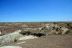 2016-06-03, 069, Petrified Forest