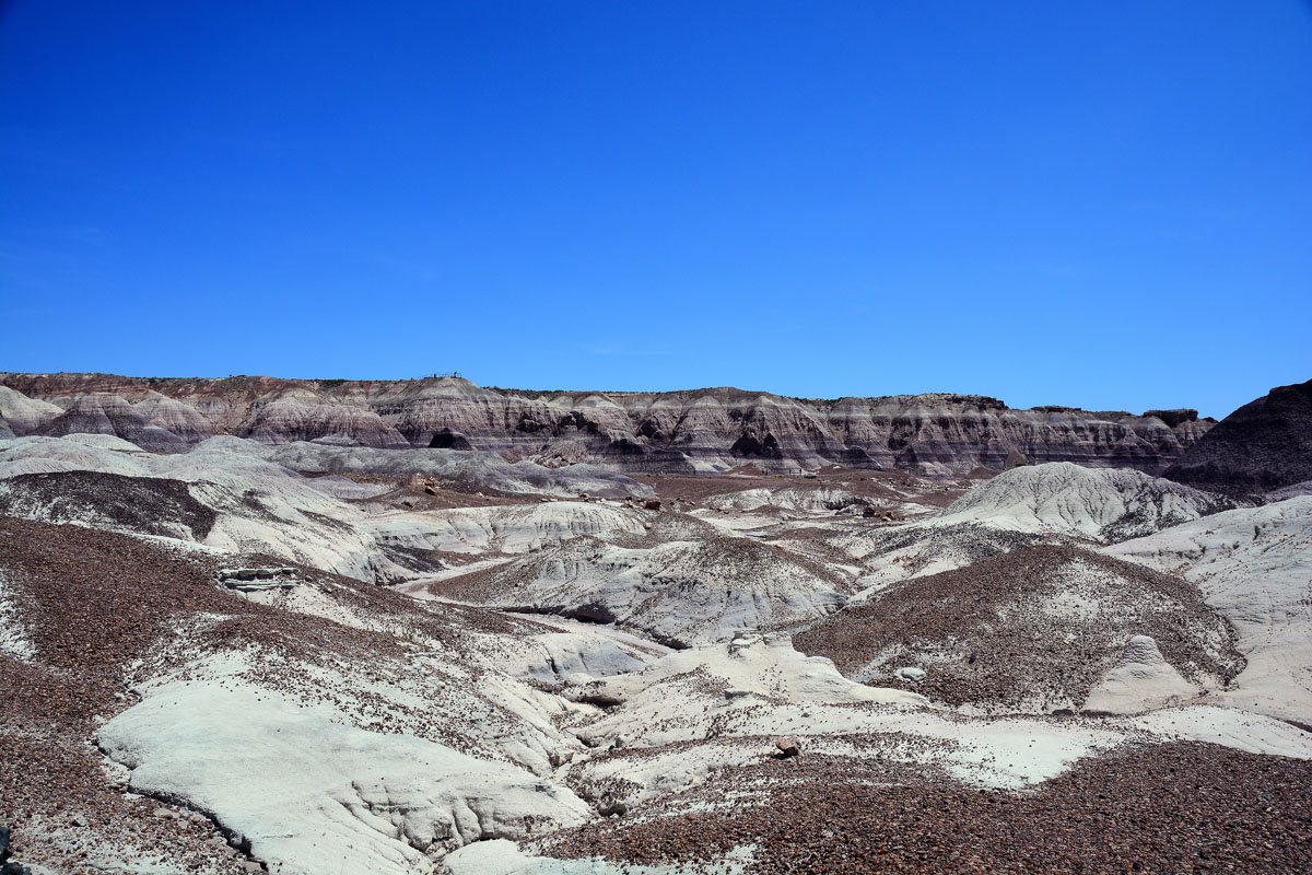 2016-06-03, 091, Petrified Forest, Blue Mesa