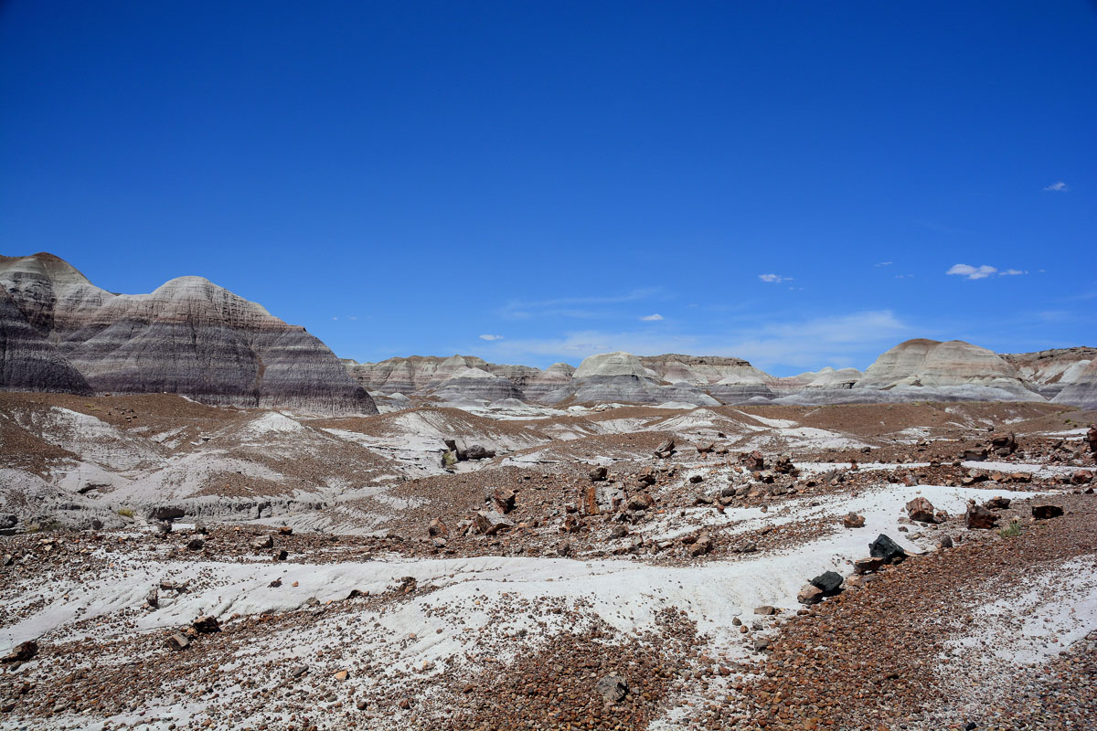 2016-06-03, 095, Petrified Forest, Blue Mesa