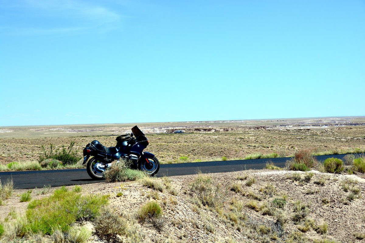 2016-06-03, 104, Petrified Forest