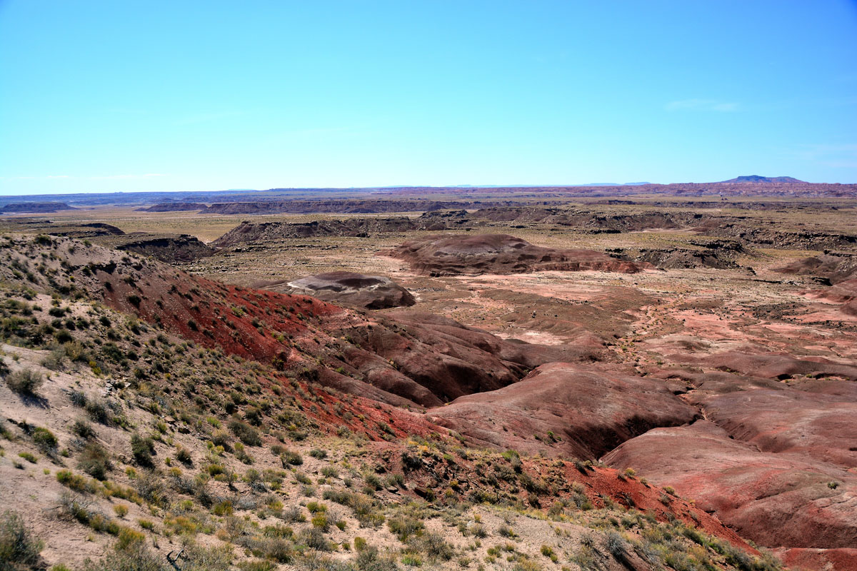 2016-06-03, 126, Petrified Forest, Expanding Park