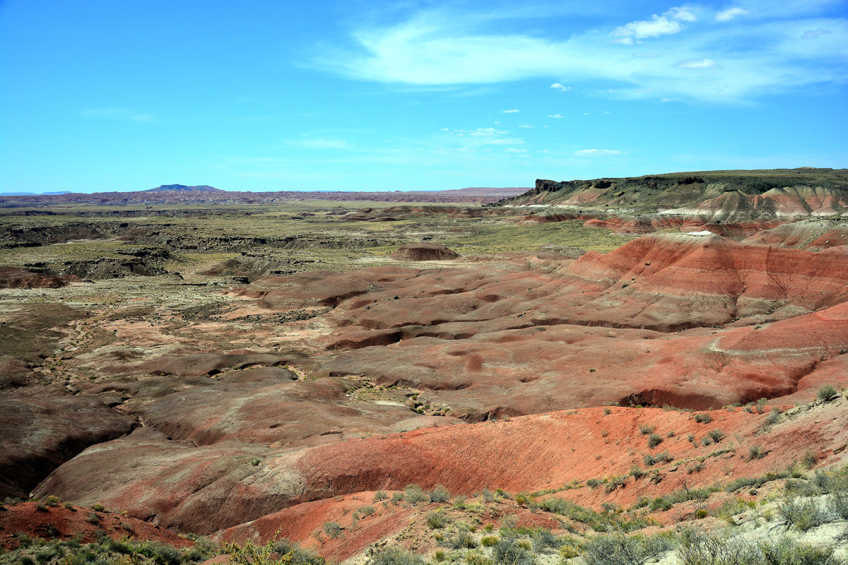 2016-06-03, 127, Petrified Forest, Expanding Park