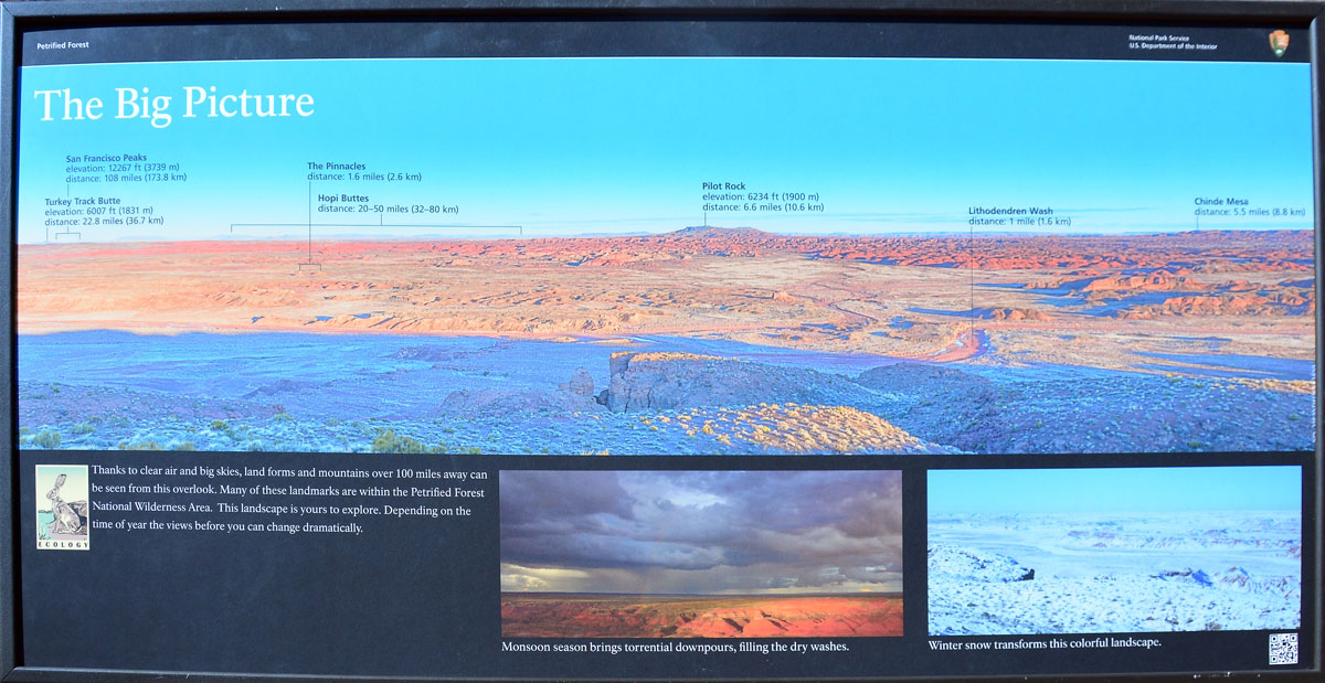 2016-06-03, 128, Petrified Forest, Painted Desert