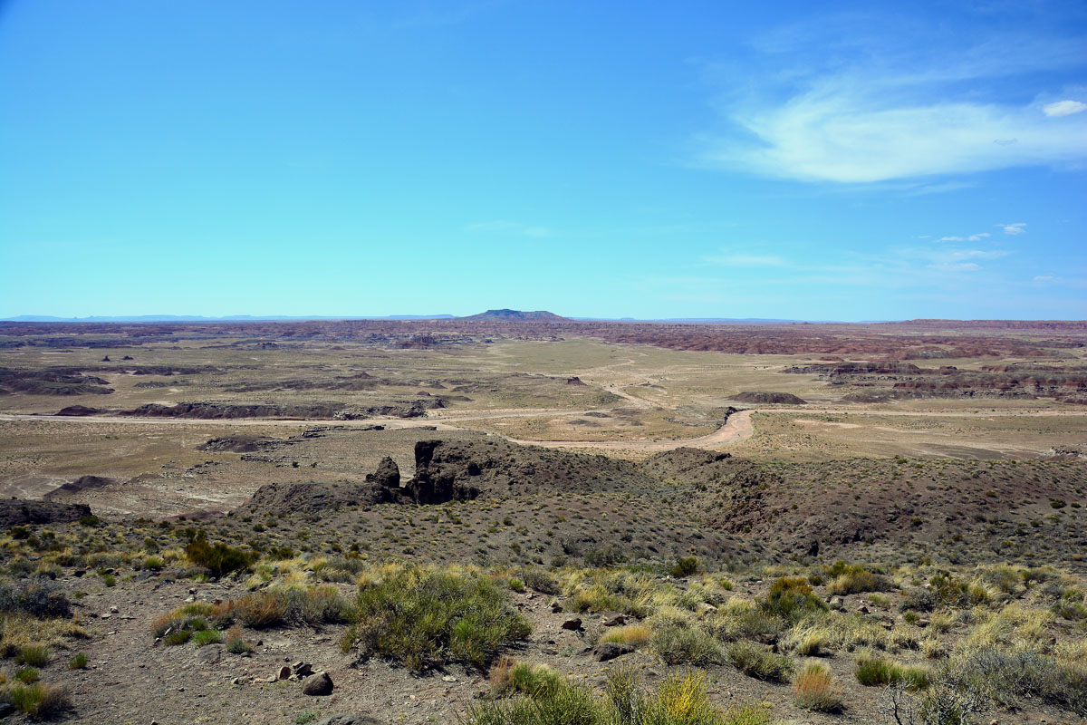 2016-06-03, 130, Petrified Forest, Painted Desert