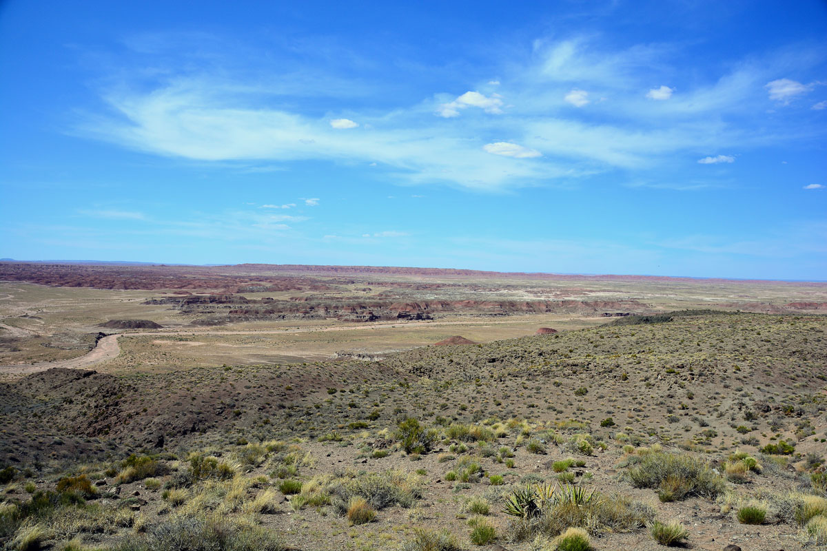 2016-06-03, 131, Petrified Forest, Painted Desert