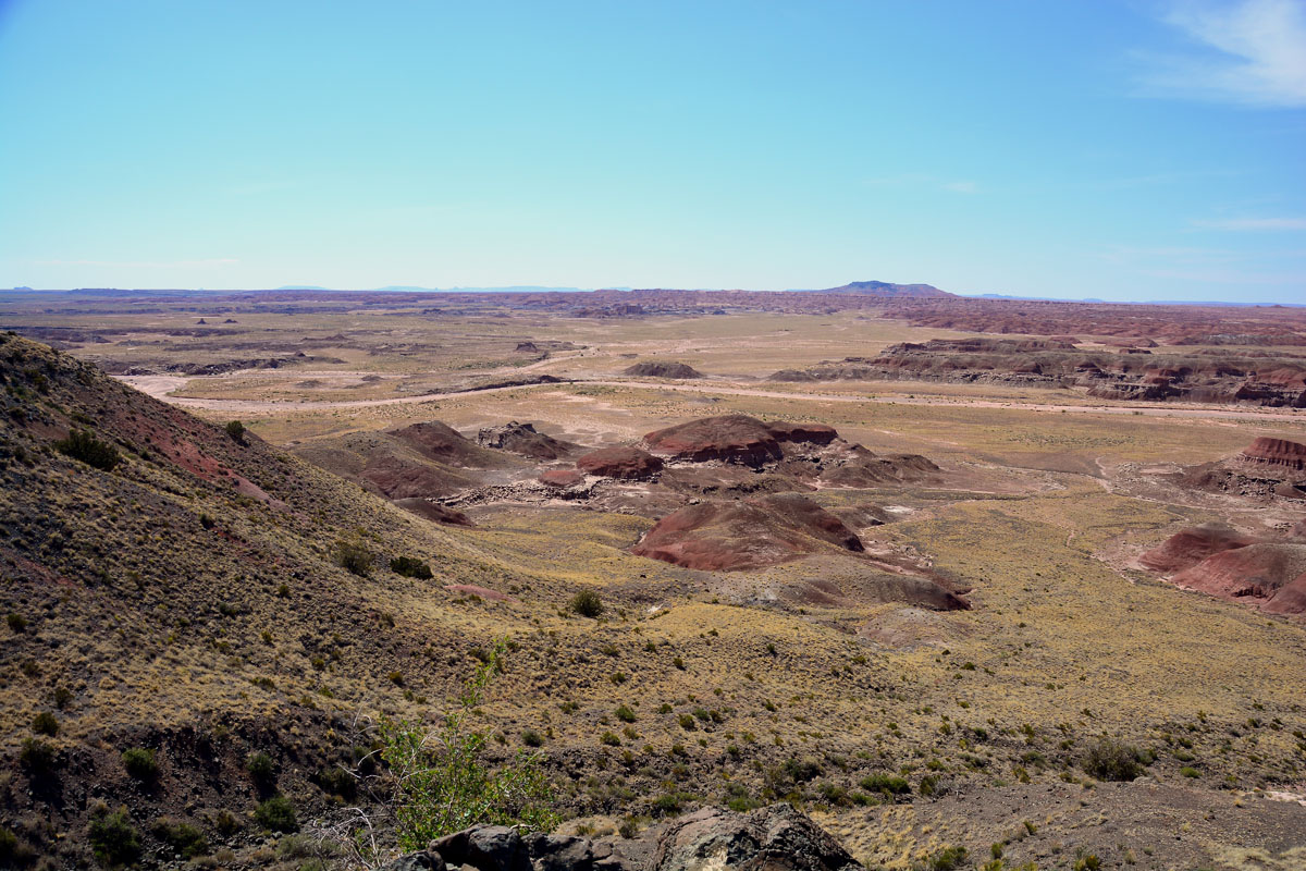 2016-06-03, 133, Petrified Forest, Painted Desert