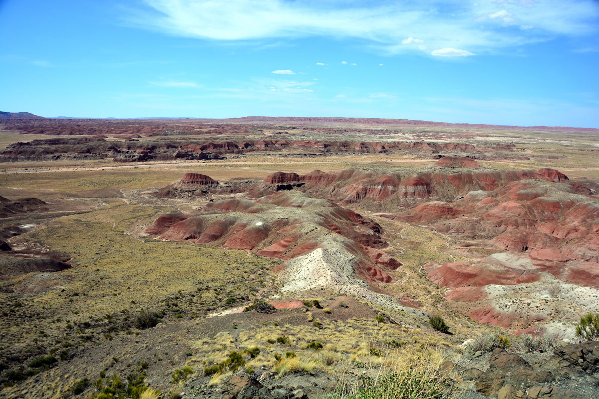 2016-06-03, 134, Petrified Forest, Painted Desert