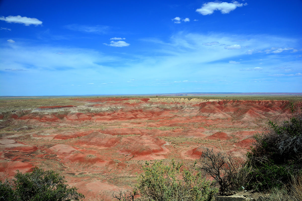 2016-06-03, 136, Petrified Forest, Painted Desert