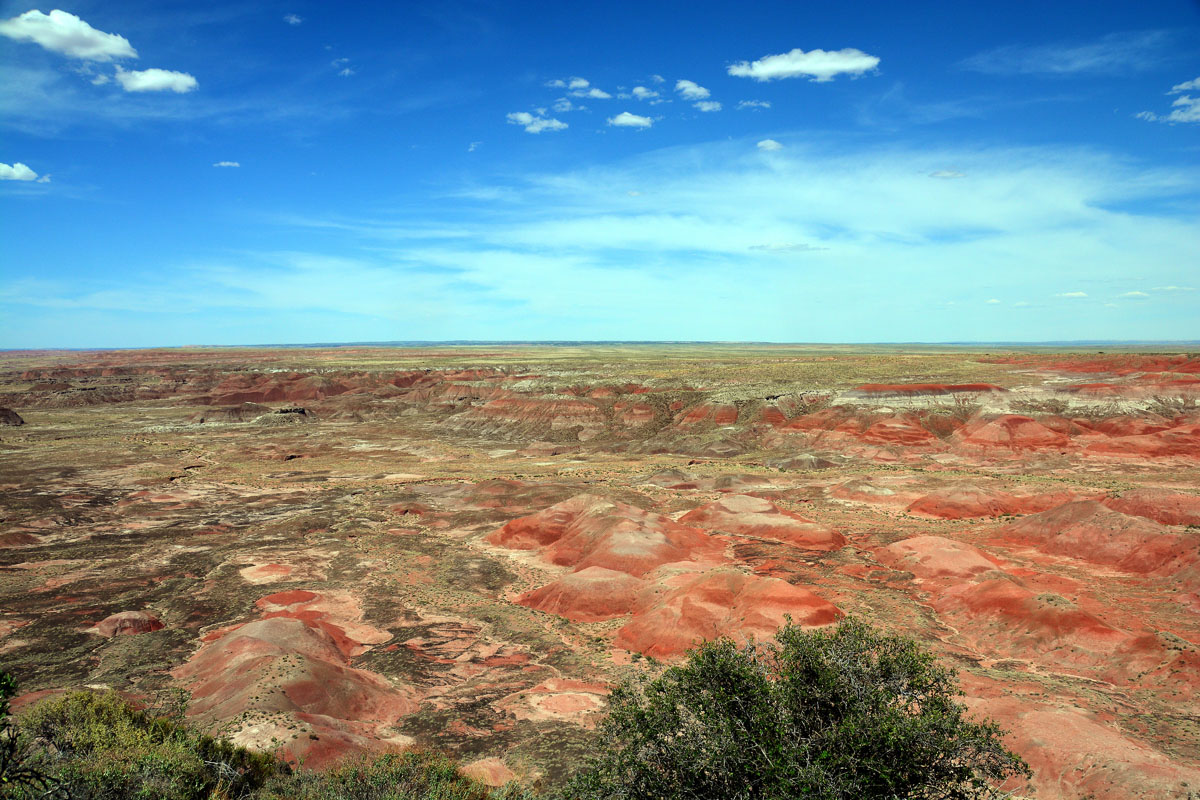 2016-06-03, 137, Petrified Forest, Painted Desert