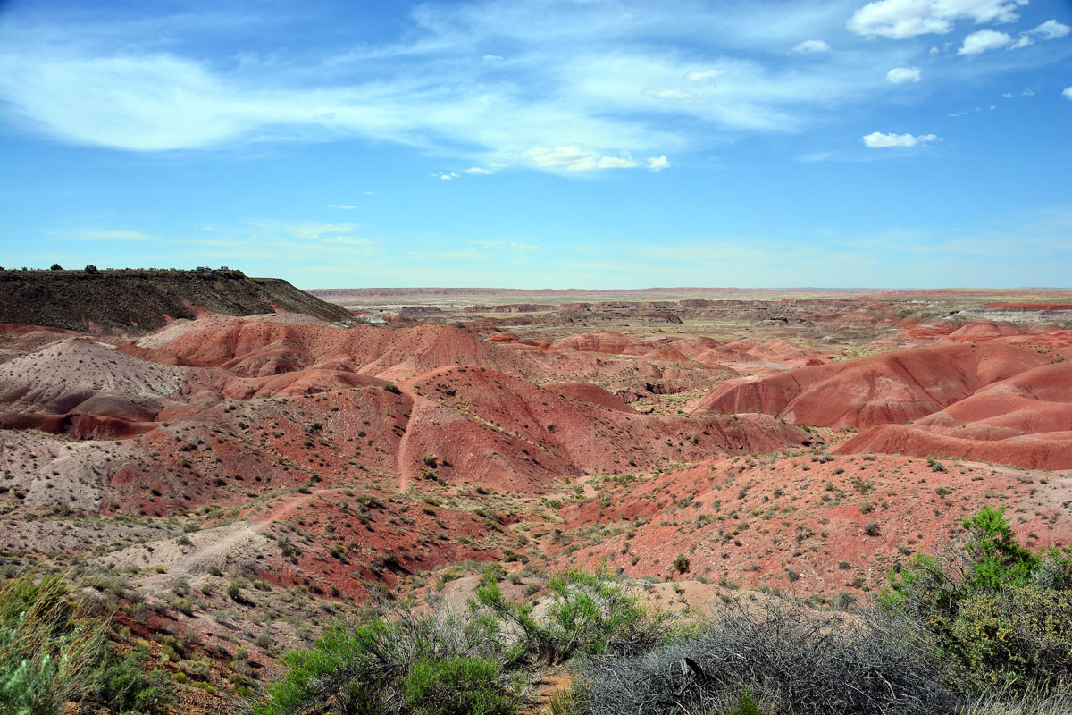 2016-06-03, 139, Petrified Forest, Painted Desert