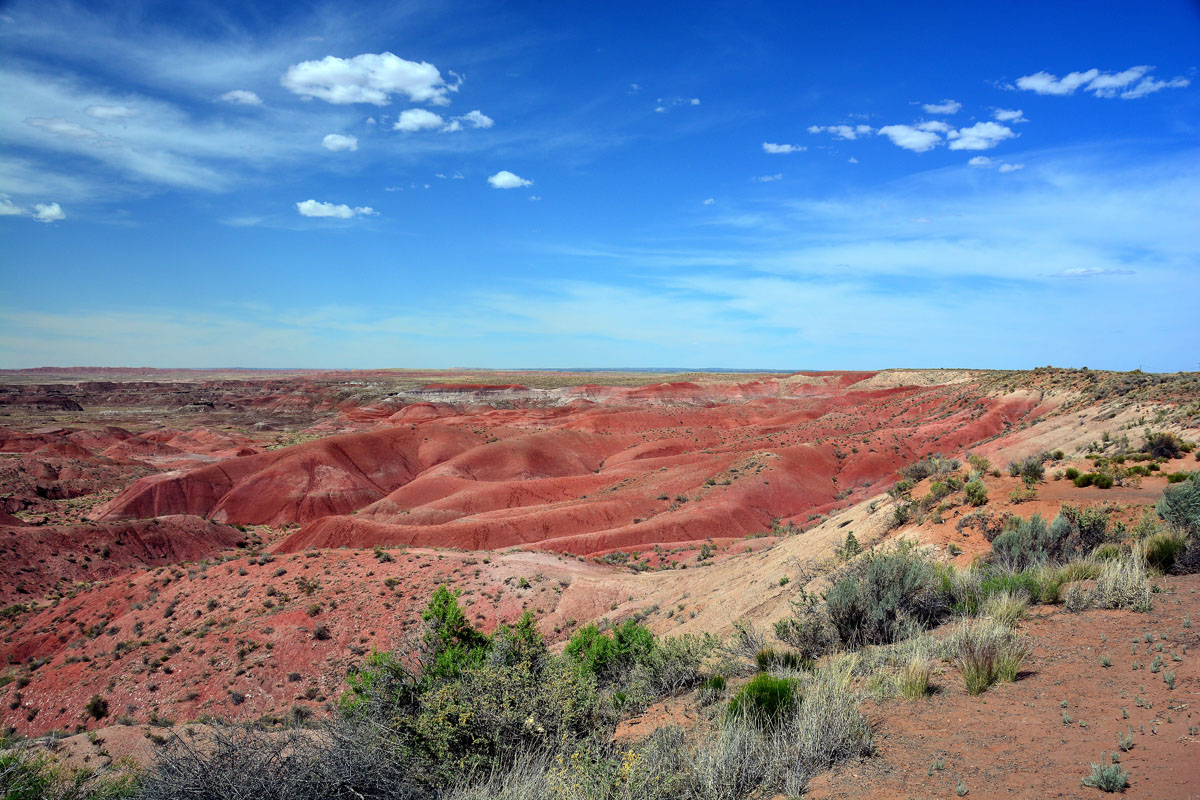 2016-06-03, 140, Petrified Forest, Painted Desert