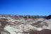 2016-06-03, 091, Petrified Forest, Blue Mesa