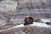 2016-06-03, 096, Petrified Forest, Blue Mesa