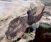 2016-06-03, 119, Petrified Forest, Village Rio Puerco