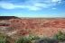 2016-06-03, 139, Petrified Forest, Painted Desert
