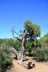 2016-06-16, 062, Black Canyon NP, Cedar Point, CO