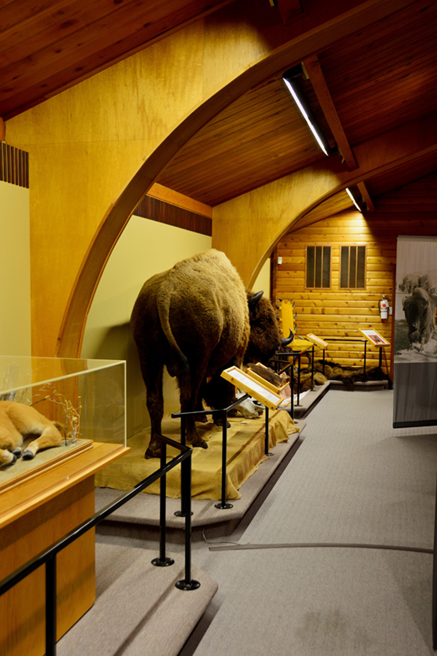 2016-08-02, 007, National Buffalo Museum