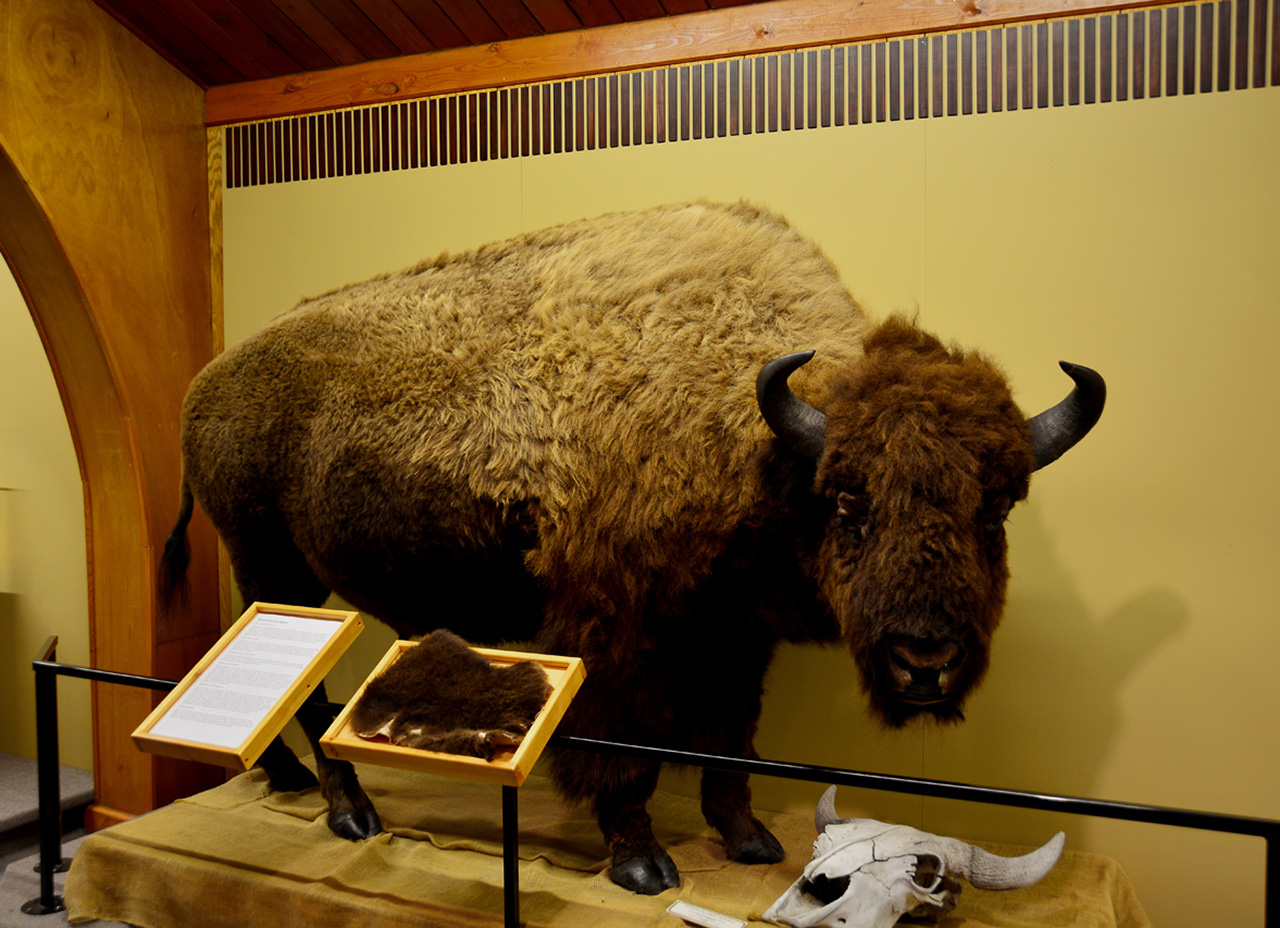 2016-08-02, 008, National Buffalo Museum