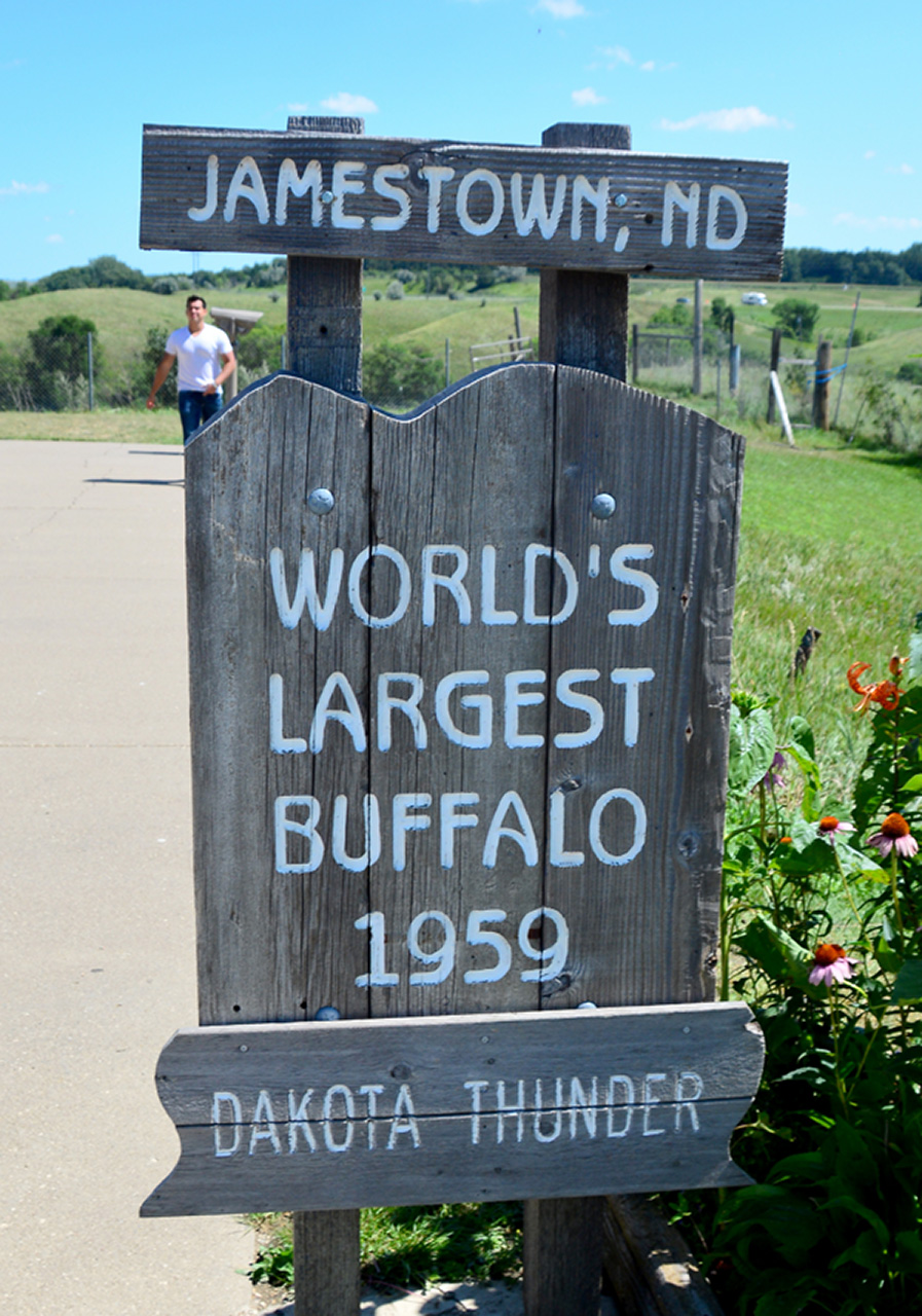 2016-08-02, 034, World's Largest Buffalo