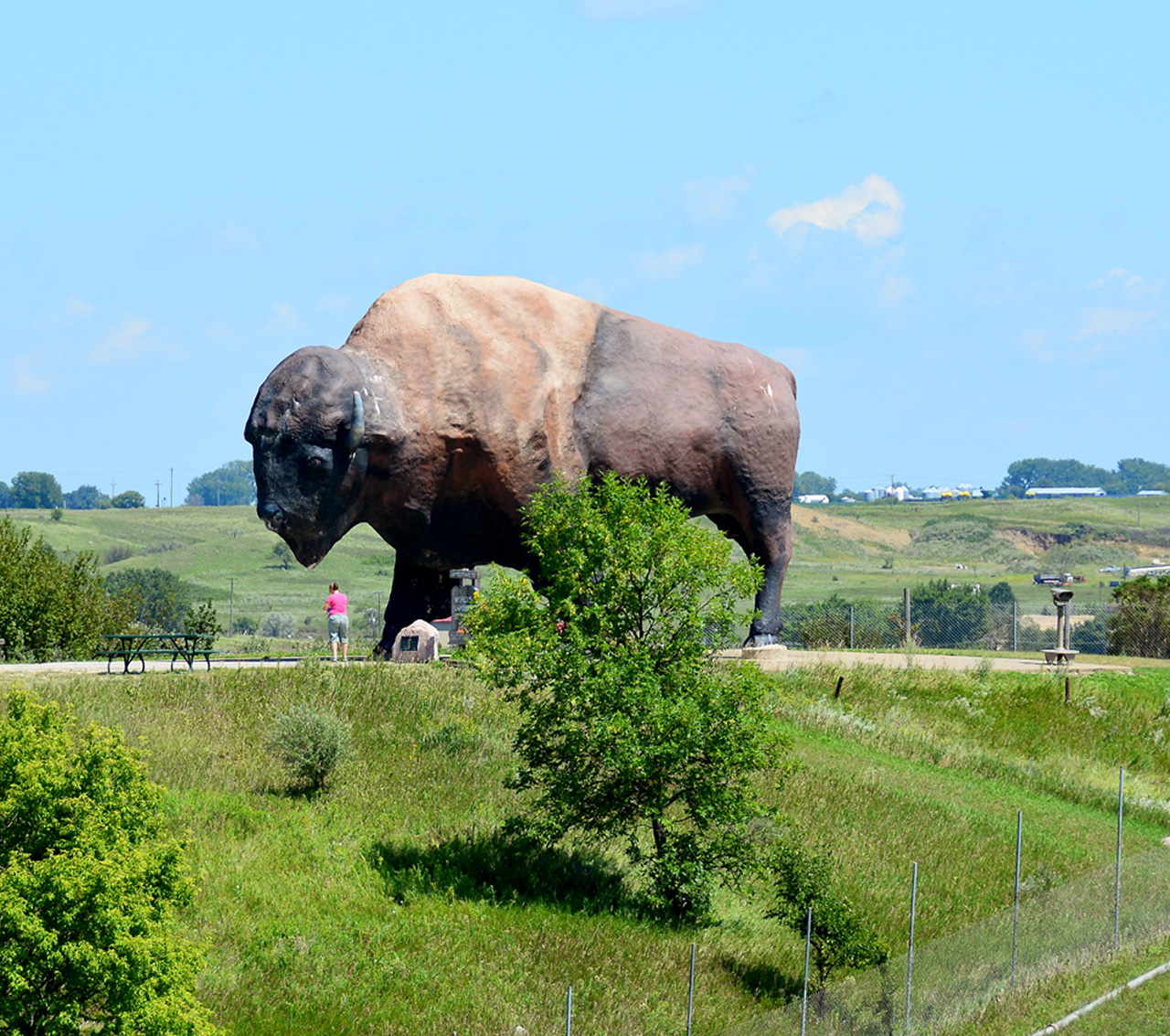 2016-08-02, 036, World's Largest Buffalo