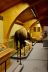 2016-08-02, 007, National Buffalo Museum