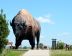 2016-08-02, 037, World's Largest Buffalo