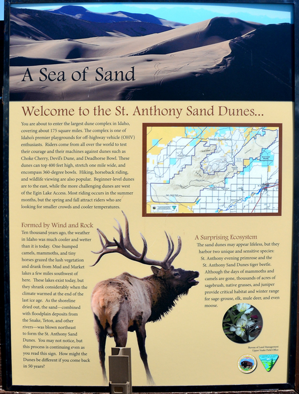 2016-08-09, 002, St Anthony Sand Dunes, ID