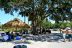 2017-05-27, 022, A Weekend at Wekiva Springs