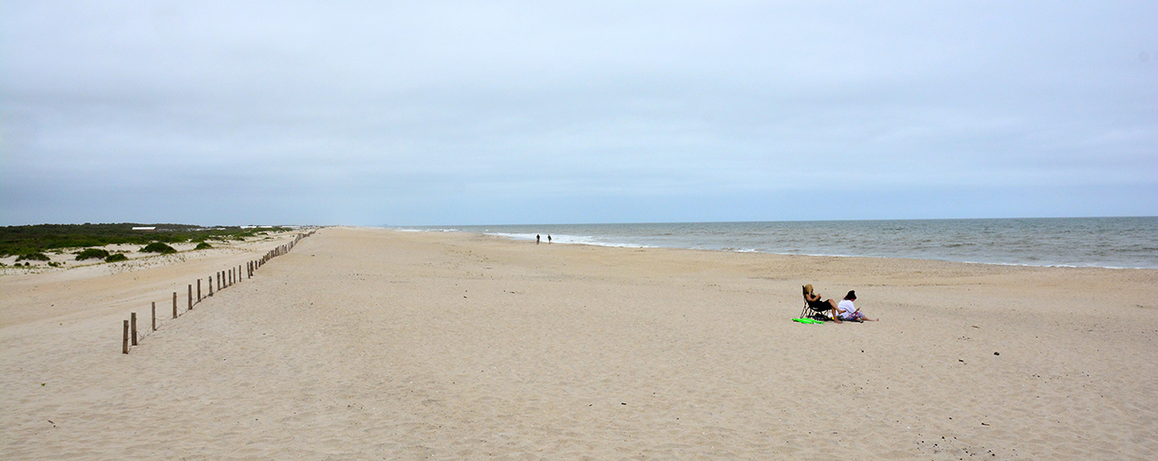 2017-06-13, 010, The Beach at Assateague Island