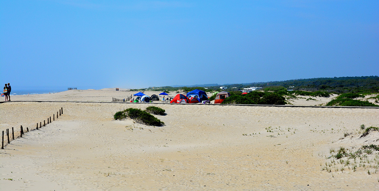 2017-06-13, 020, The Beach at Assateague Island
