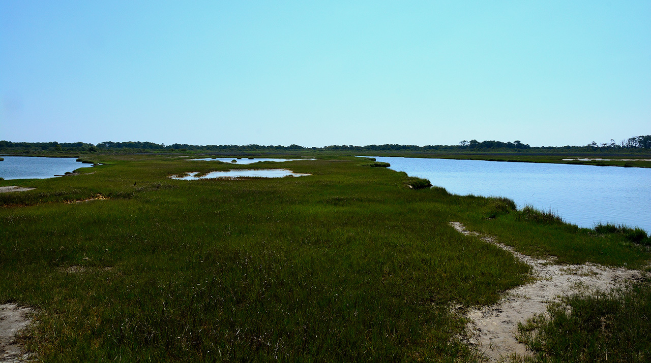 2017-06-13, 024, Tidal Marsh at Assateague Island