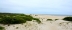 2017-06-13, 009, The Beach at Assateague Island