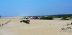 2017-06-13, 019, The Beach at Assateague Island