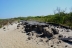 2017-06-13, 004, Dunes Trail at Assateague Island