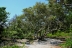 2017-06-13, 008, Dunes Trail at Assateague Island