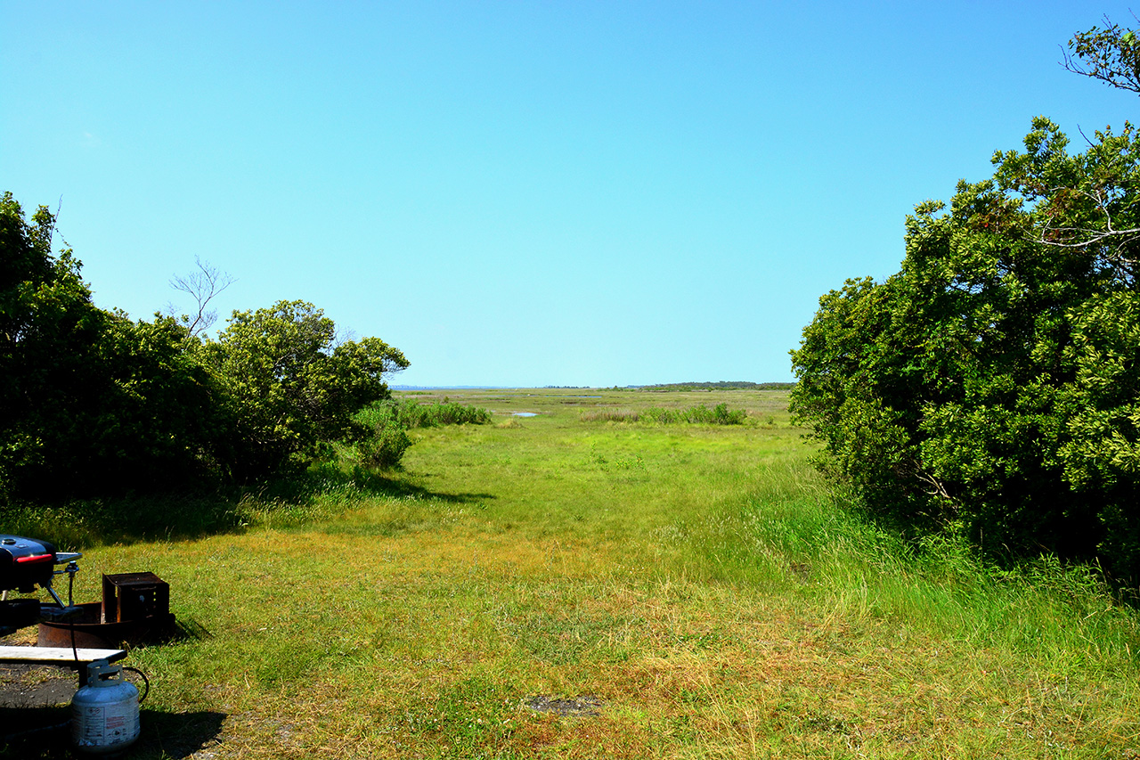 2017-06-12, 002, Assateague Island NS, MD